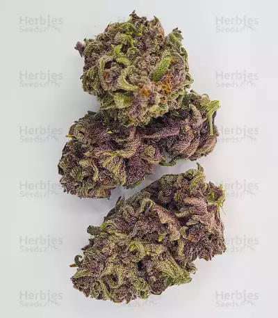 Bubba Kush Feminized Seeds