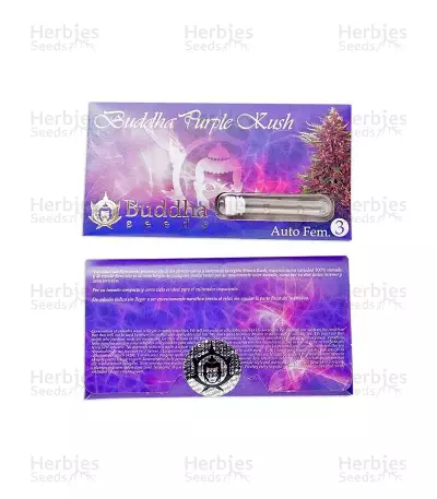 Buddha Purple Kush Auto feminized seeds