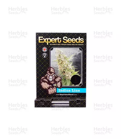 Graines de cannabis Critical Gorilla (Expert Seeds)