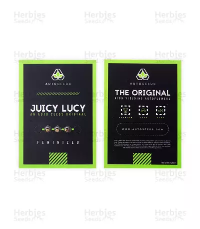 Graines de cannabis Juicy Lucy Auto (Auto Seeds)