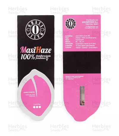 Maxi Haze Auto feminized seeds