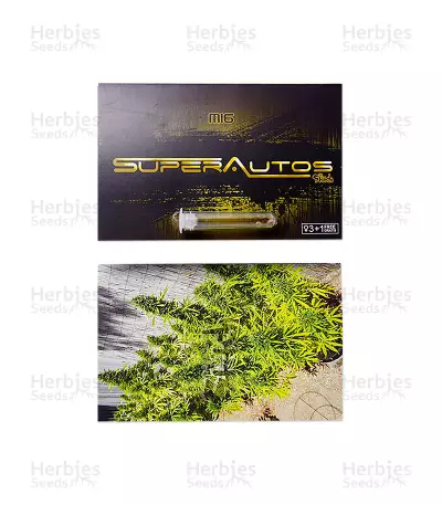 Mi 6 Auto Seeds