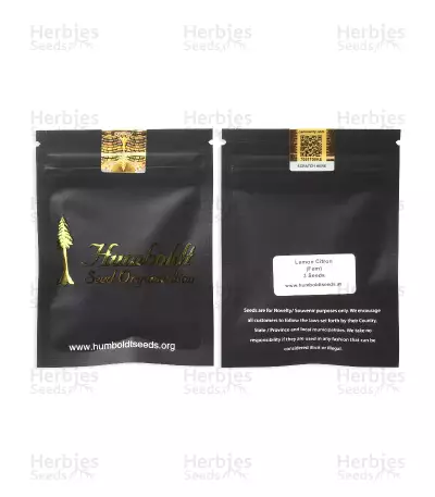 Lemon Citron (Humboldt Seeds Organization)