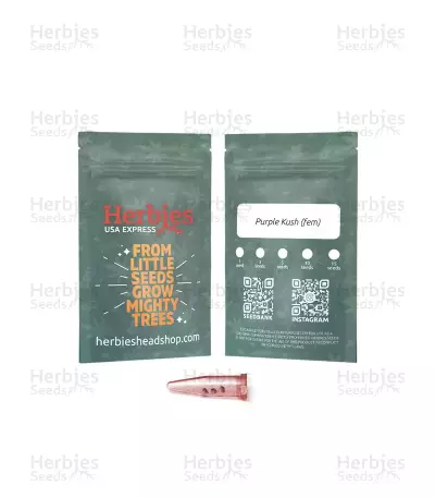 Purple Kush Seeds