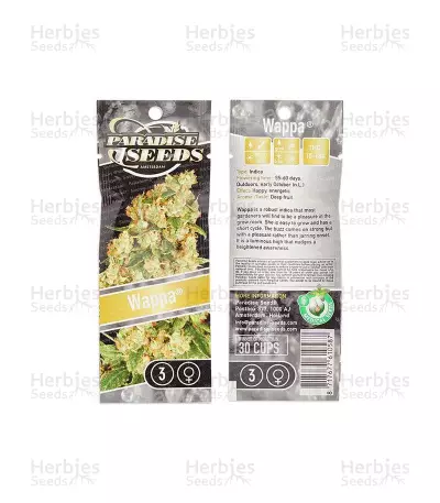 Wappa feminized seeds
