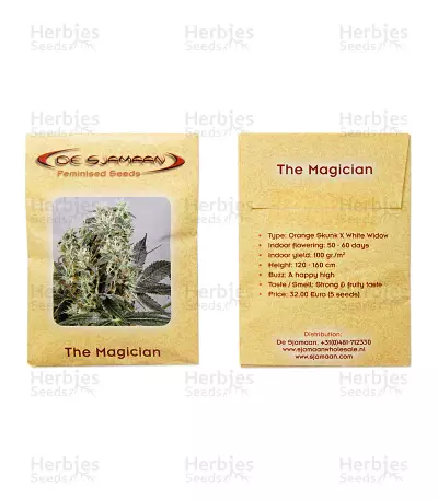 Graines de cannabis The Magician (De Sjamaan Seeds)