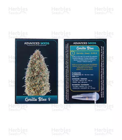 Gorilla Blue Seeds