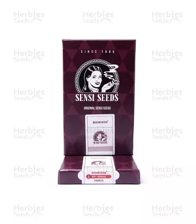 Mexican Sativa Seeds