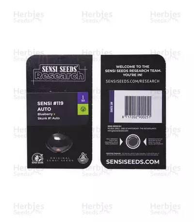 Sensi #119 Auto Seeds
