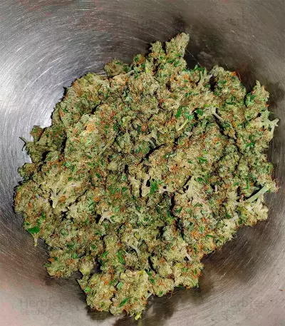 Jack Herer Auto