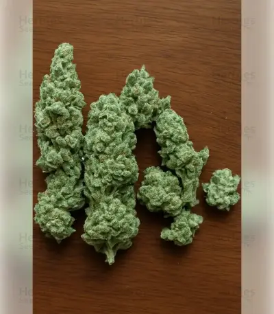 Graines de cannabis Northern Light (RQS)