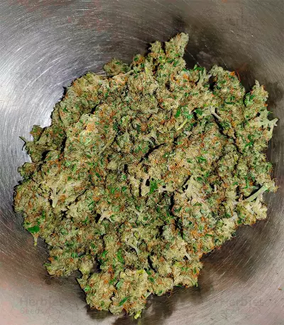 Jack Herer Autoflower (Herbies Seeds)