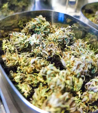 Skywalka Cookies Seeds