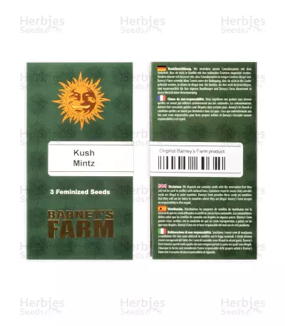 Kush Mintz Seeds (Barney’s Farm)