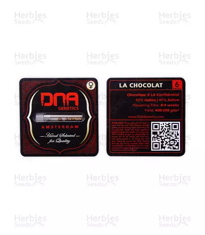 LA Chocolat Seeds