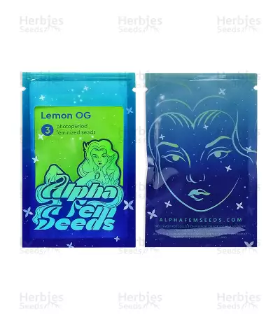 Lemon OG Feminized Seeds (AlphaFem Seeds)