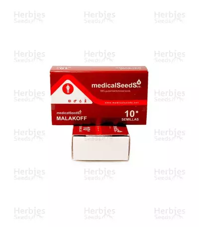 Graines de cannabis Malakoff (Medical Seeds)