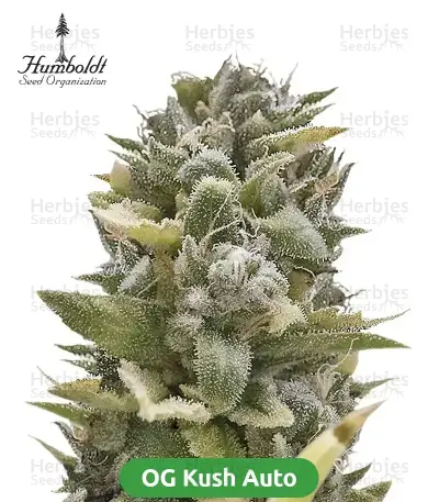 Autopilot Harvest Bundle #1