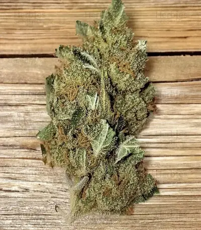 Grape Stomper Seeds