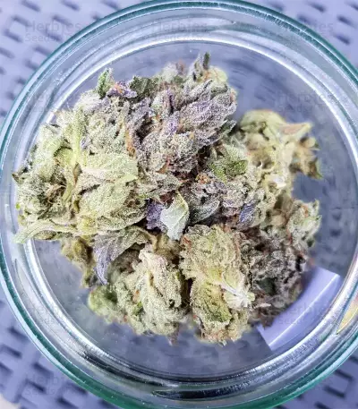 Triple G (RQS)