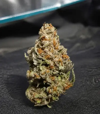 Wonder Pie Seeds (Green House Seeds)
