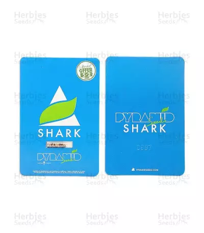 Shark (Pyramid Seeds)