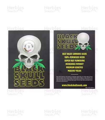 Auto Speed Haze Seeds