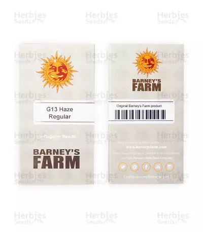 G13 Haze Regular (Barney's Farm)
