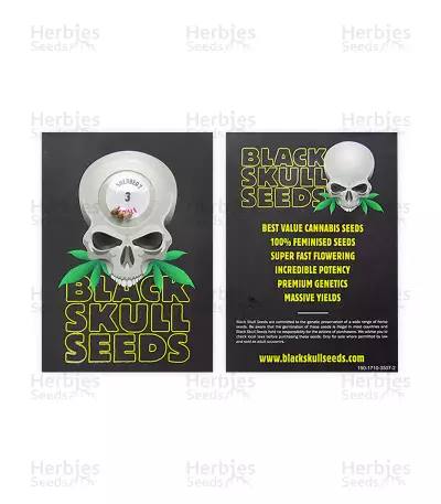 Sherbert (Blackskull Seeds)