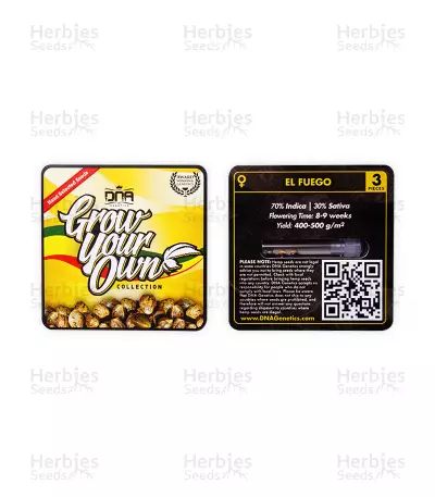 El Fuego feminized seeds