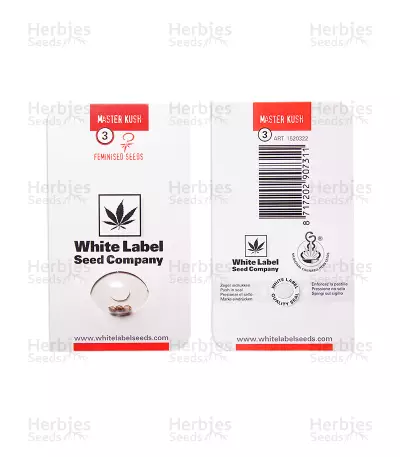 Master Kush Seeds (White Label Seed Company)