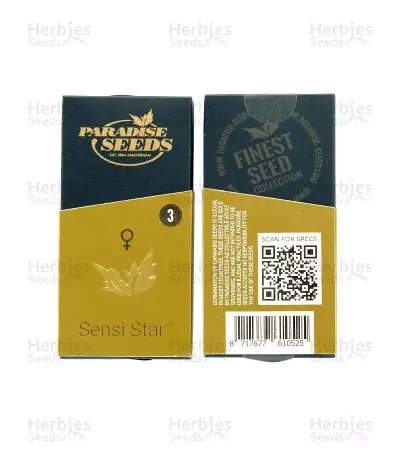 Sensi Star (Paradise Seeds)