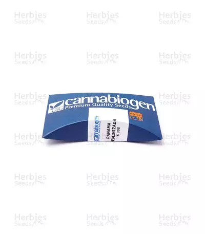 Graines de cannabis Panama (CannaBioGen)