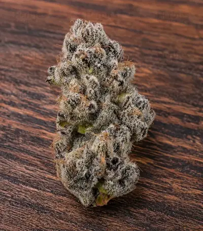 RS11 Seeds (Barney's Farm)