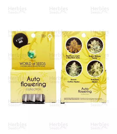 Autoflowering Collection feminized seeds