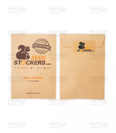 Maple Sherbet Seeds