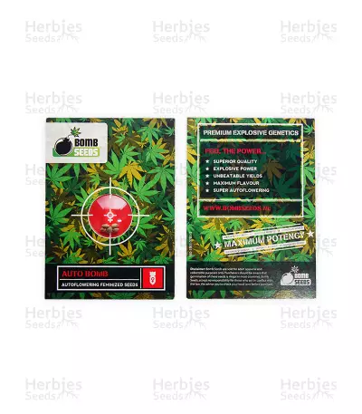 Auto Bomb strain seeds
