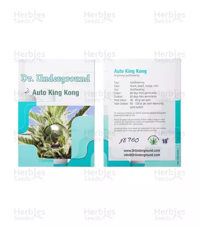 King Kong Auto feminized seeds