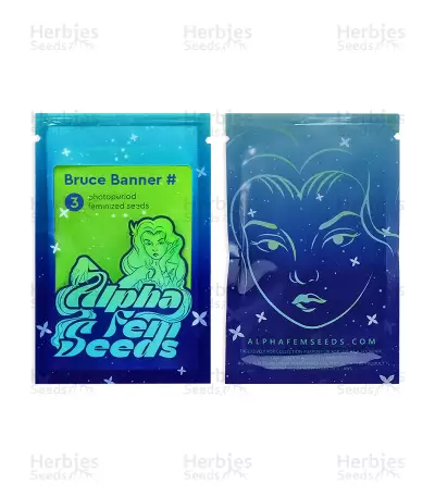 Semillas Feminizadas Bruce Banner # (AlphaFem Seeds)