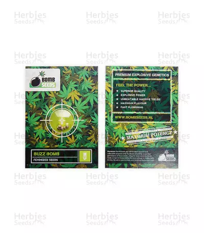 Buzz Bomb (Bomb Seeds)