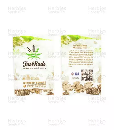 Northern Express Auto feminized seeds
