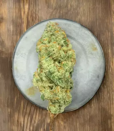 Pineapple Runtz Auto (Ethos Genetics)