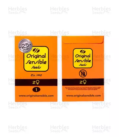 Z feminized seeds (Original Sensible Seeds)