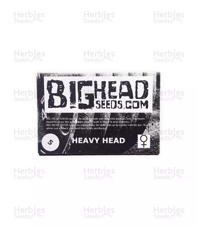 Heavy Head (Big Head Seeds)