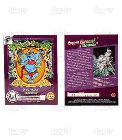 Cream Caramel F1 Fast Version Seeds