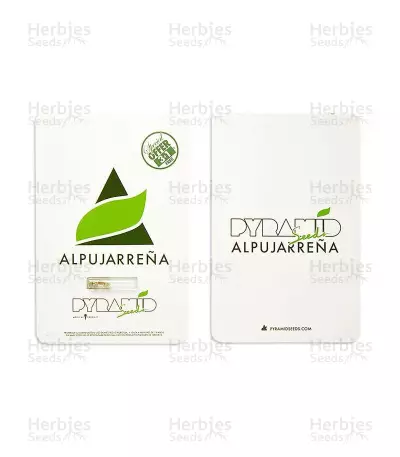 Alpujarrena feminized seeds