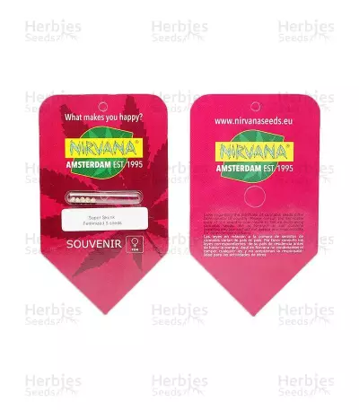Super Skunk feminized seeds (Nirvana Seeds)