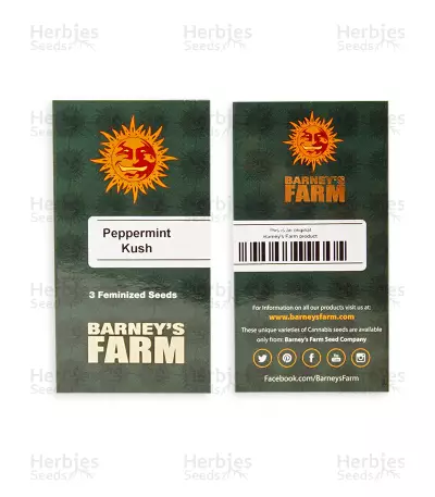 Graines de cannabis Peppermint Kush (Barney's Farm)