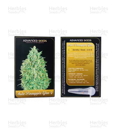 Auto Pineapple Glue seeds