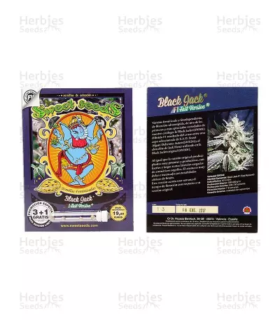 Black Jack F1 Fast Version feminized seeds